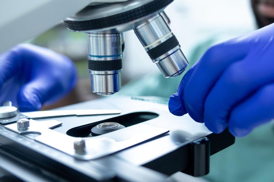 Estudo aponta composto de planta medicinal capaz de inibir replicação do coronavírus em laboratório
