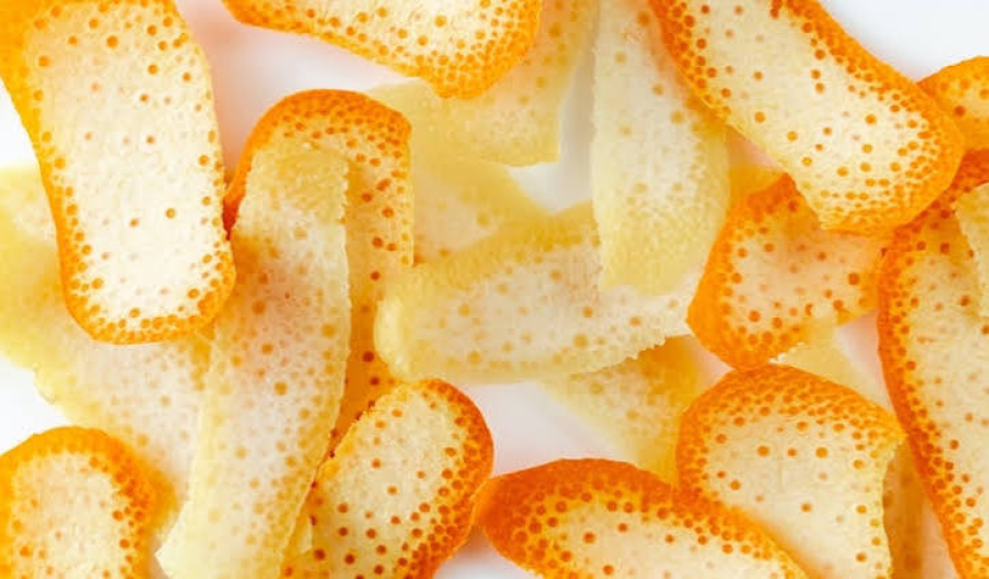 Cascas de laranja transformam área degradada em floresta após experimento na Costa Rica