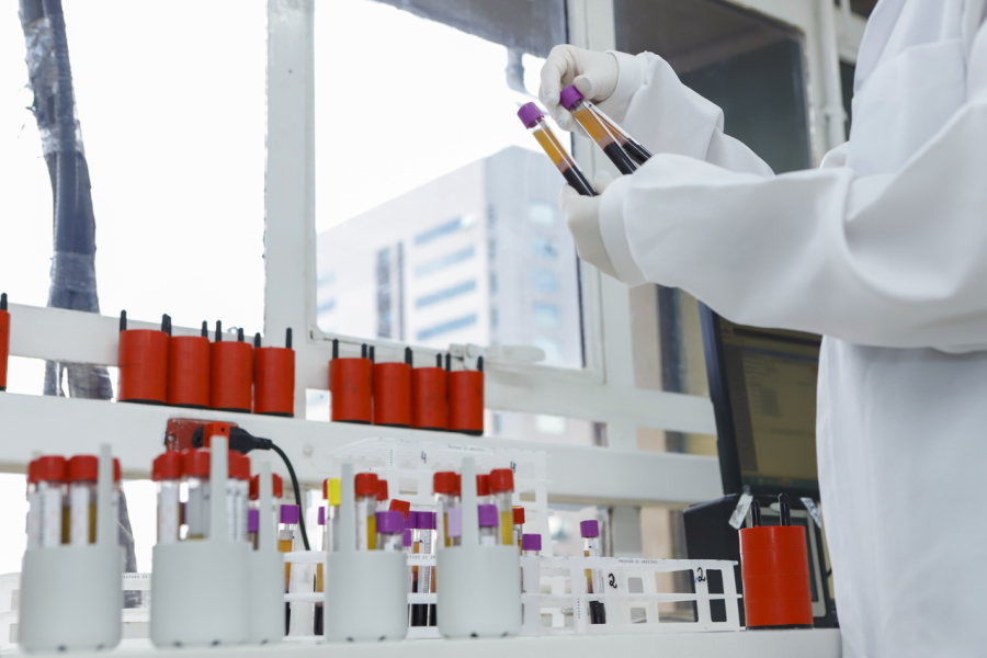 DF oferece exame rápido para detectar gravidez