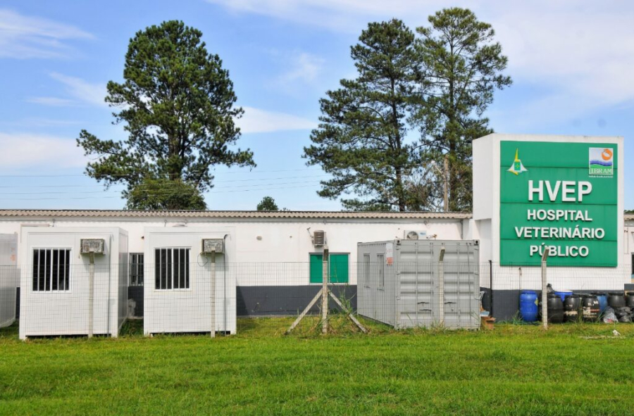 PCDF resgata 14 cães em abandono extremo