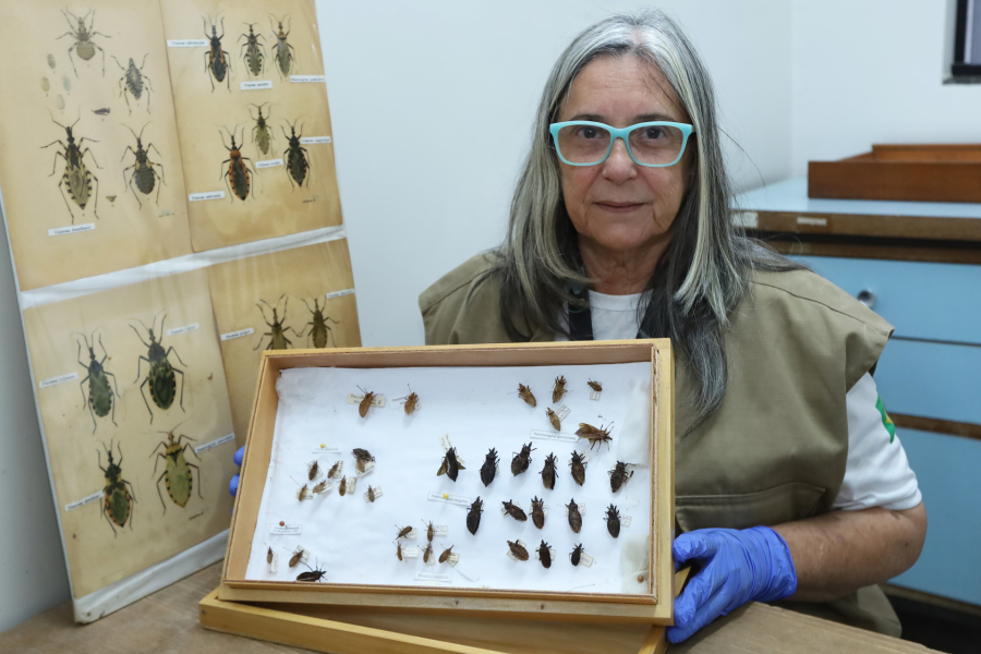 Doença de Chagas alerta moradores do DF