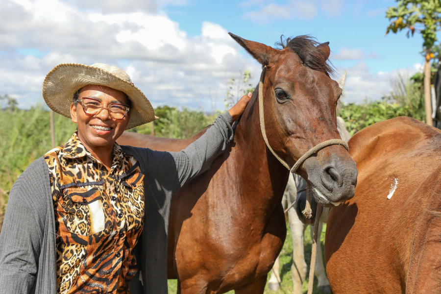 Apreensões de animais triplicam no DF