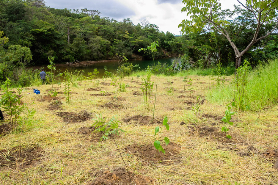 Parque da Serrinha vira área protegida no DF