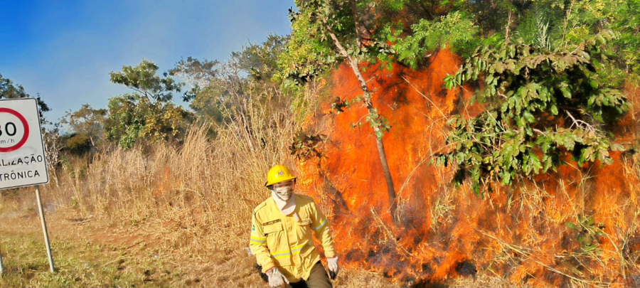 Queima de lixo e vegetação é crime ambiental e eleva risco de incêndio durante o período de seca
