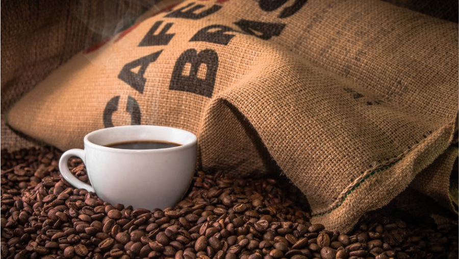Exportações de café rendem US$ 14,6 bilhões e alcançam segunda maior receita da história