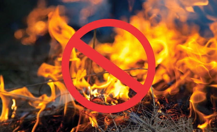 GDF proíbe queimadas em todo o DF e endurece medidas contra incêndios florestais